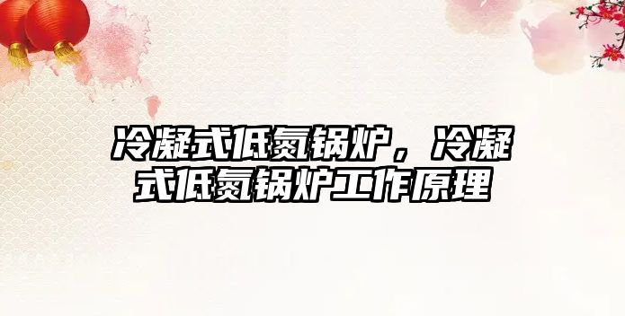 冷凝式低氮鍋爐，冷凝式低氮鍋爐工作原理