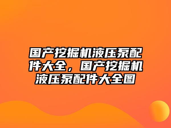 國產(chǎn)挖掘機液壓泵配件大全，國產(chǎn)挖掘機液壓泵配件大全圖
