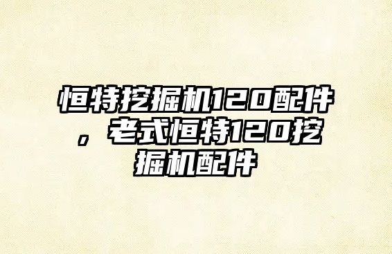 恒特挖掘機(jī)120配件，老式恒特120挖掘機(jī)配件