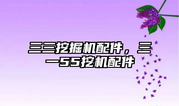 三三挖掘機配件，三一55挖機配件
