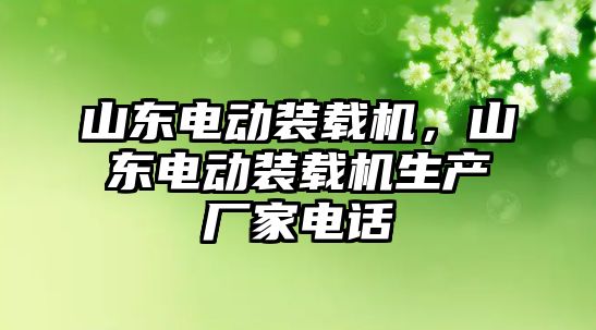 山東電動裝載機，山東電動裝載機生產(chǎn)廠家電話