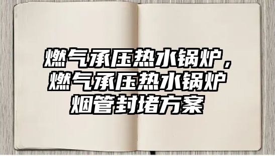 燃?xì)獬袎簾崴仩t，燃?xì)獬袎簾崴仩t煙管封堵方案
