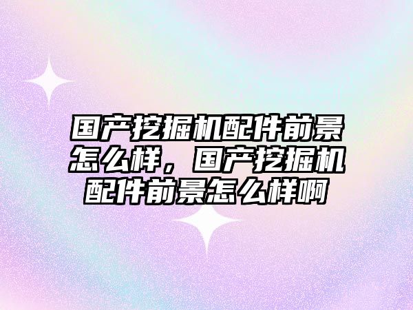 國(guó)產(chǎn)挖掘機(jī)配件前景怎么樣，國(guó)產(chǎn)挖掘機(jī)配件前景怎么樣啊