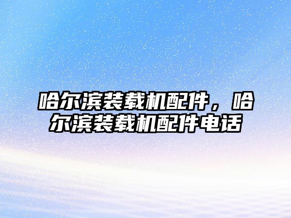 哈爾濱裝載機(jī)配件，哈爾濱裝載機(jī)配件電話