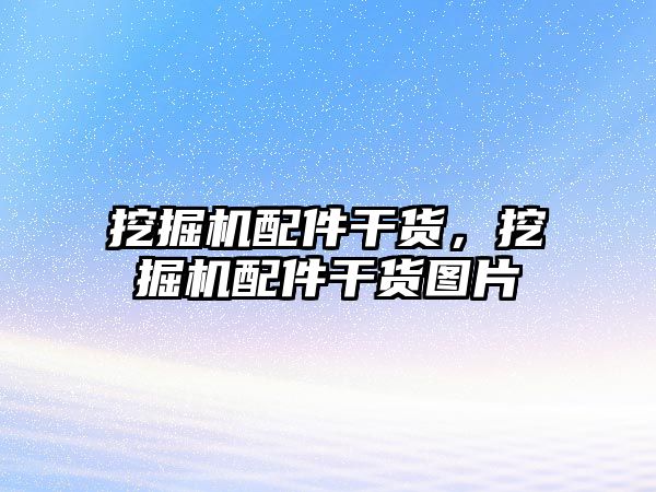 挖掘機配件干貨，挖掘機配件干貨圖片