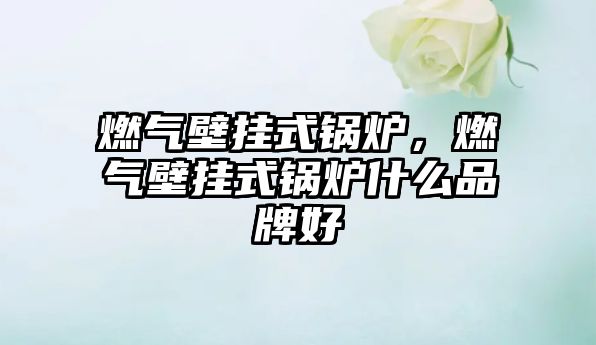 燃?xì)獗趻焓藉仩t，燃?xì)獗趻焓藉仩t什么品牌好