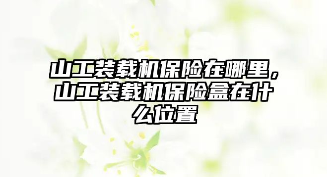 山工裝載機(jī)保險(xiǎn)在哪里，山工裝載機(jī)保險(xiǎn)盒在什么位置