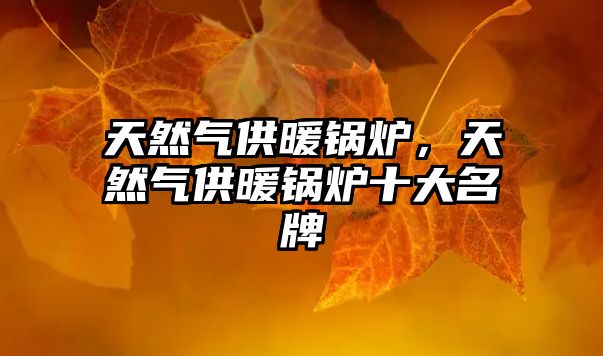 天然氣供暖鍋爐，天然氣供暖鍋爐十大名牌