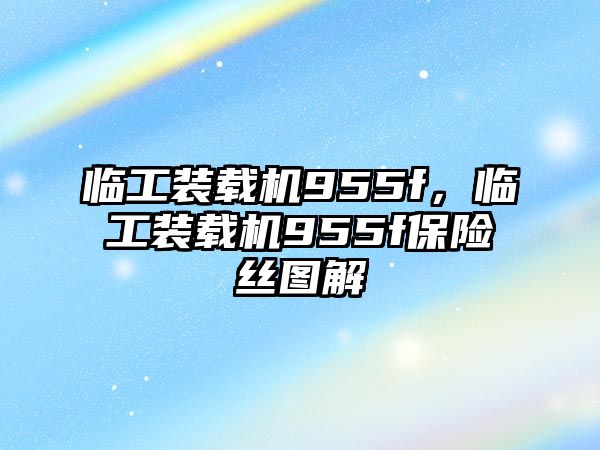 臨工裝載機(jī)955f，臨工裝載機(jī)955f保險(xiǎn)絲圖解