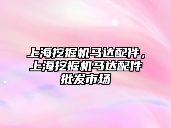 上海挖掘機馬達配件，上海挖掘機馬達配件批發(fā)市場