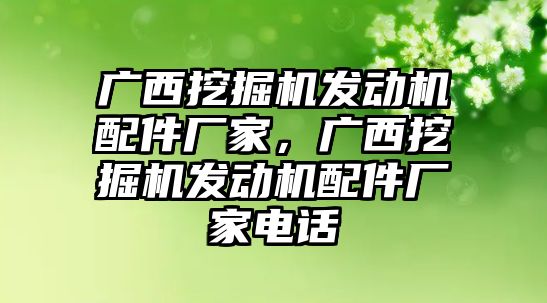 廣西挖掘機(jī)發(fā)動(dòng)機(jī)配件廠家，廣西挖掘機(jī)發(fā)動(dòng)機(jī)配件廠家電話
