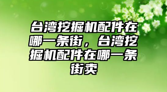 臺灣挖掘機配件在哪一條街，臺灣挖掘機配件在哪一條街賣