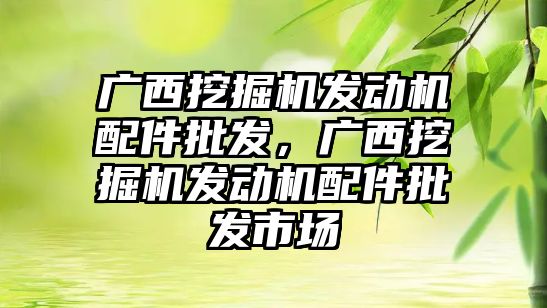 廣西挖掘機發(fā)動機配件批發(fā)，廣西挖掘機發(fā)動機配件批發(fā)市場