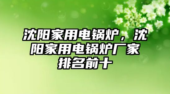 沈陽家用電鍋爐，沈陽家用電鍋爐廠家排名前十