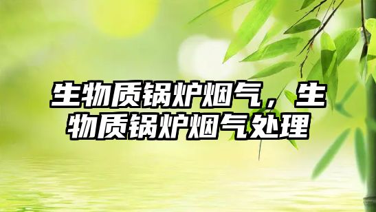 生物質(zhì)鍋爐煙氣，生物質(zhì)鍋爐煙氣處理
