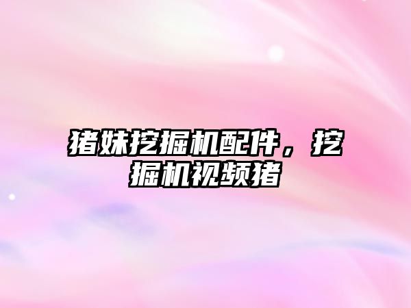 豬妹挖掘機(jī)配件，挖掘機(jī)視頻豬