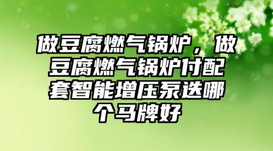 做豆腐燃?xì)忮仩t，做豆腐燃?xì)忮仩t付配套智能增壓泵迭哪個(gè)馬牌好