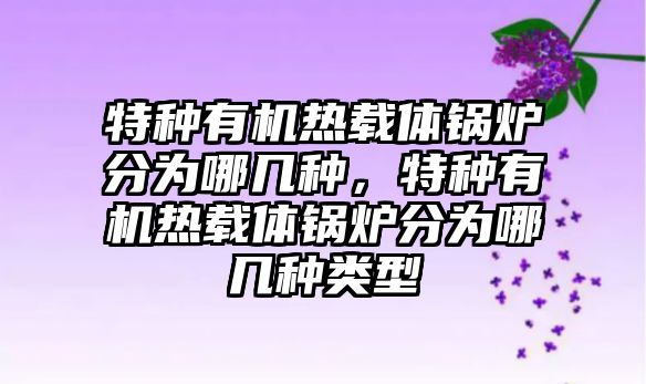 特種有機(jī)熱載體鍋爐分為哪幾種，特種有機(jī)熱載體鍋爐分為哪幾種類型