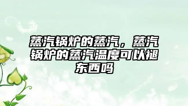 蒸汽鍋爐的蒸汽，蒸汽鍋爐的蒸汽溫度可以褪東西嗎