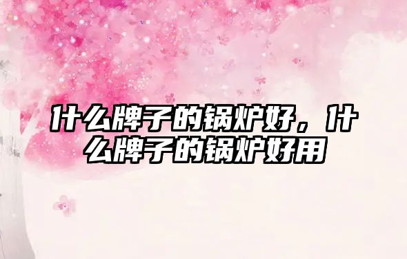什么牌子的鍋爐好，什么牌子的鍋爐好用