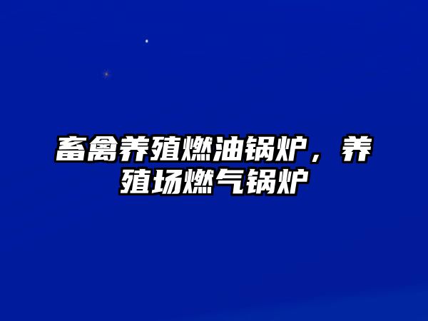 畜禽養(yǎng)殖燃油鍋爐，養(yǎng)殖場燃?xì)忮仩t