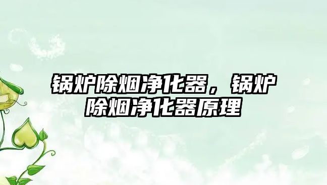 鍋爐除煙凈化器，鍋爐除煙凈化器原理
