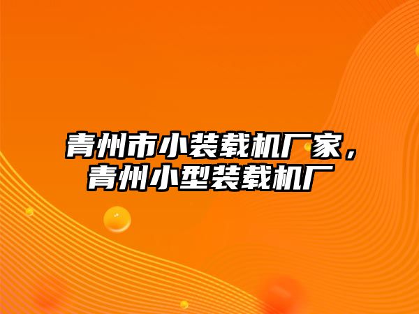青州市小裝載機廠家，青州小型裝載機廠