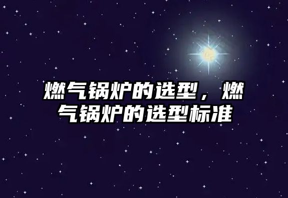 燃?xì)忮仩t的選型，燃?xì)忮仩t的選型標(biāo)準(zhǔn)