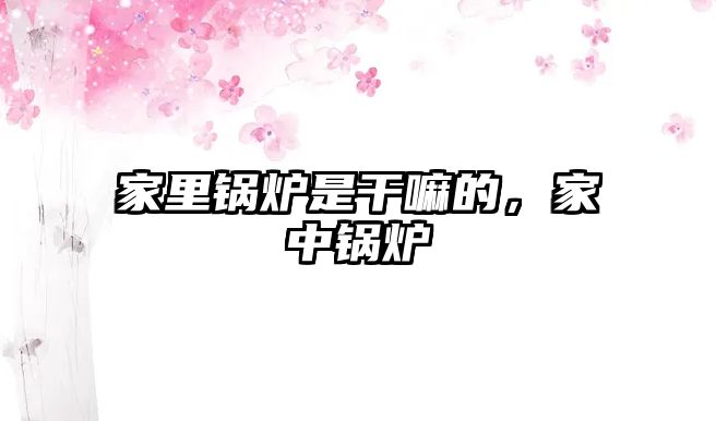 家里鍋爐是干嘛的,家中鍋爐