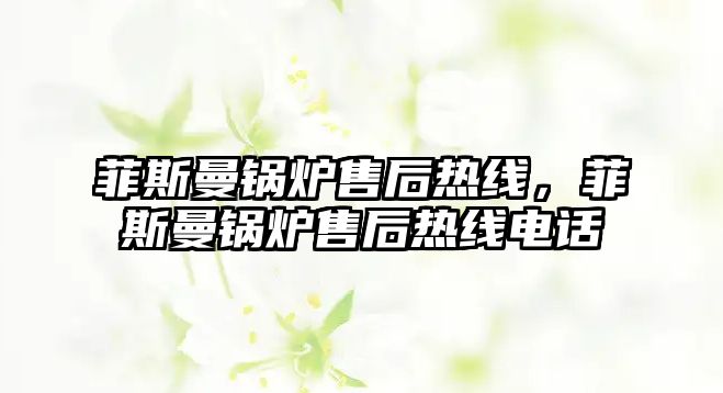 菲斯曼鍋爐售后熱線，菲斯曼鍋爐售后熱線電話