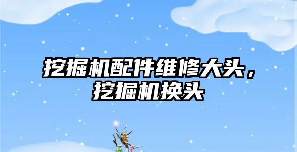 挖掘機配件維修大頭，挖掘機換頭