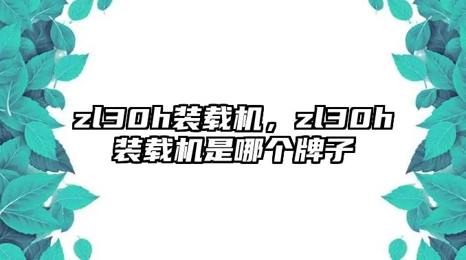 zl30h裝載機(jī)，zl30h裝載機(jī)是哪個牌子