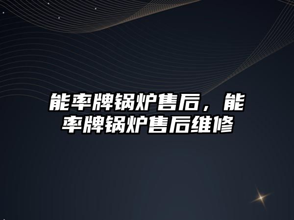 能率牌鍋爐售后，能率牌鍋爐售后維修