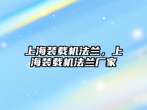 上海裝載機法蘭，上海裝載機法蘭廠家
