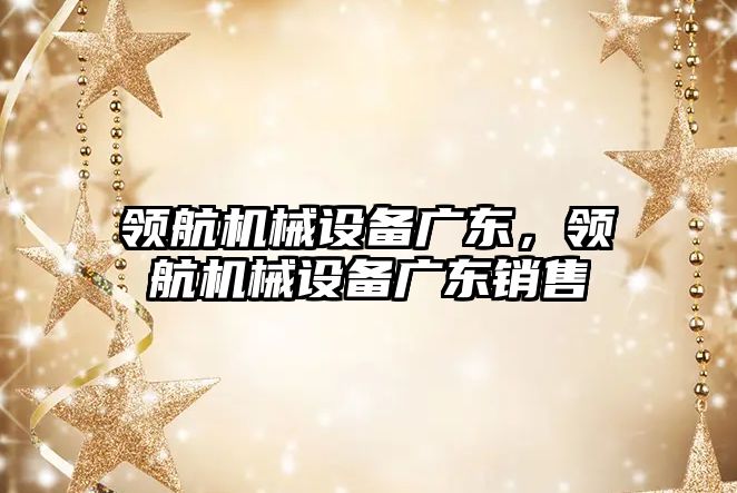 領(lǐng)航機(jī)械設(shè)備廣東，領(lǐng)航機(jī)械設(shè)備廣東銷售