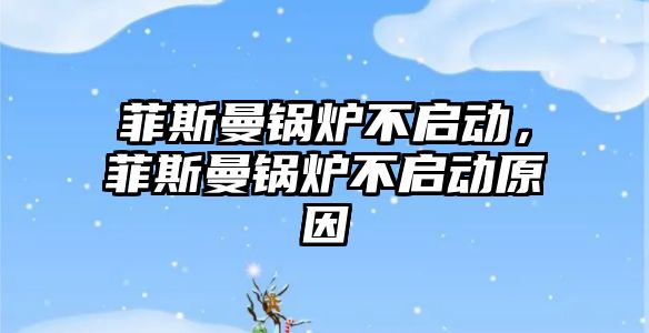 菲斯曼鍋爐不啟動，菲斯曼鍋爐不啟動原因