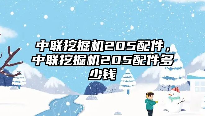 中聯(lián)挖掘機205配件，中聯(lián)挖掘機205配件多少錢