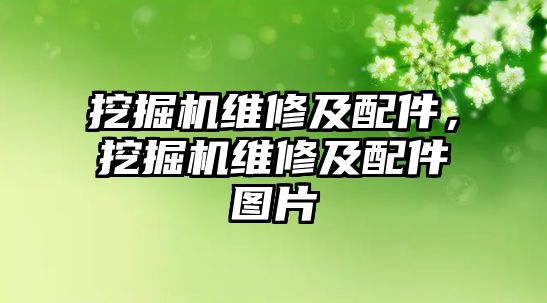 挖掘機維修及配件，挖掘機維修及配件圖片