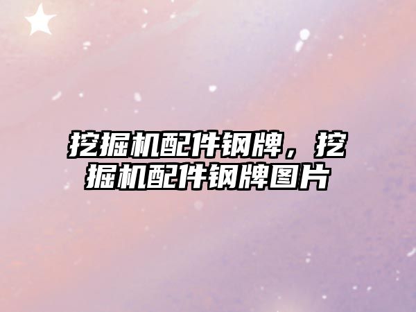 挖掘機(jī)配件鋼牌，挖掘機(jī)配件鋼牌圖片