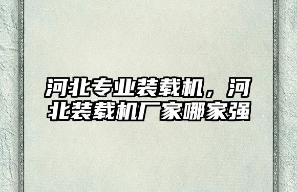 河北專業(yè)裝載機(jī)，河北裝載機(jī)廠家哪家強(qiáng)