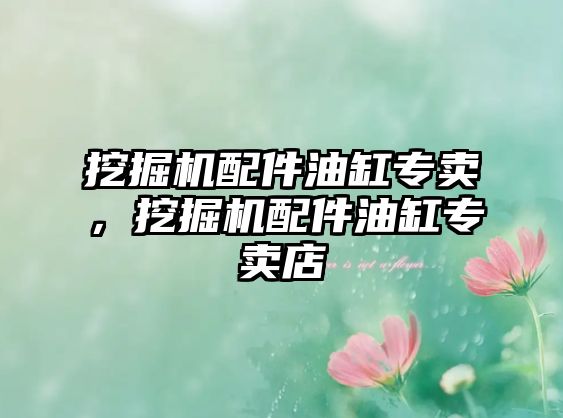 挖掘機(jī)配件油缸專賣，挖掘機(jī)配件油缸專賣店