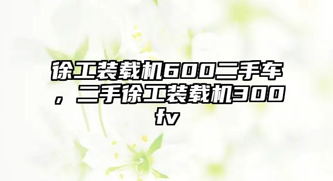 徐工裝載機(jī)600二手車，二手徐工裝載機(jī)300fv