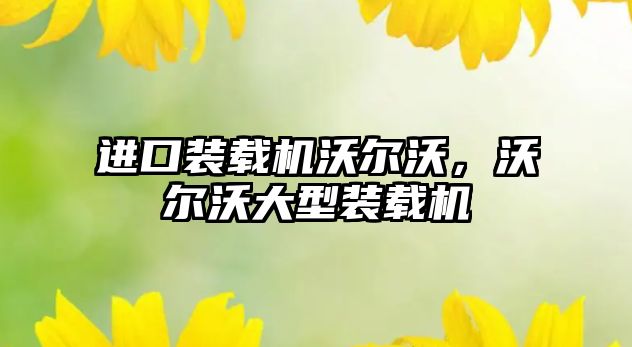 進(jìn)口裝載機沃爾沃，沃爾沃大型裝載機