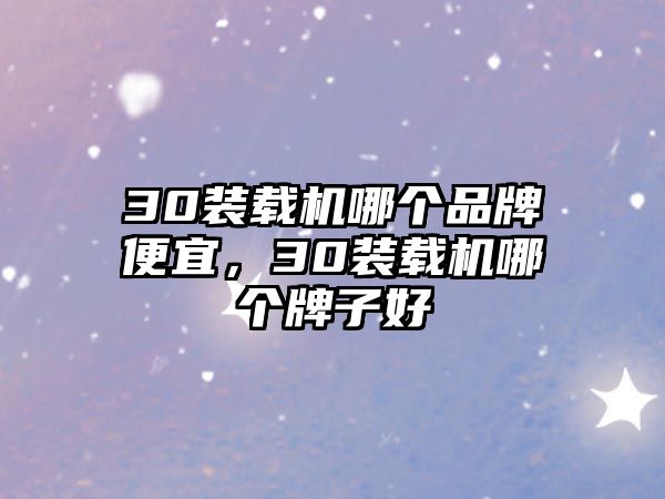 30裝載機(jī)哪個(gè)品牌便宜，30裝載機(jī)哪個(gè)牌子好