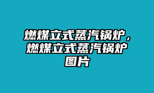 燃煤立式蒸汽鍋爐，燃煤立式蒸汽鍋爐圖片