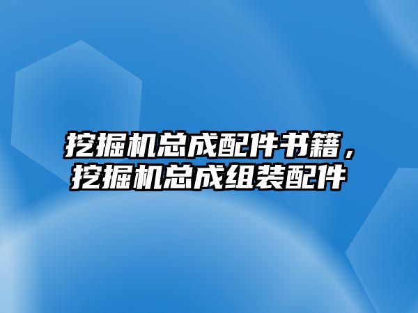 挖掘機(jī)總成配件書(shū)籍，挖掘機(jī)總成組裝配件