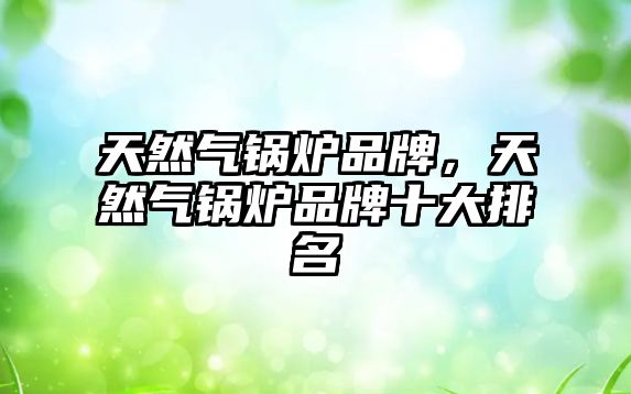 天然氣鍋爐品牌，天然氣鍋爐品牌十大排名
