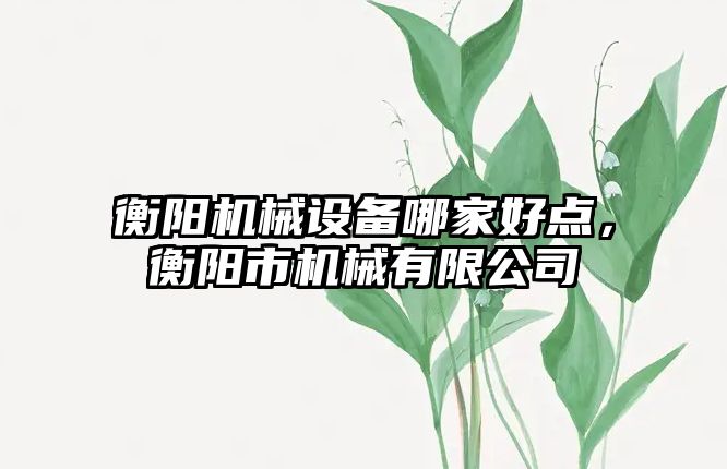 衡陽機械設(shè)備哪家好點，衡陽市機械有限公司
