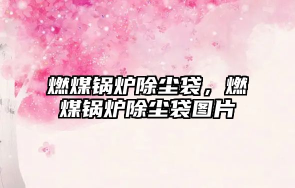 燃煤鍋爐除塵袋，燃煤鍋爐除塵袋圖片