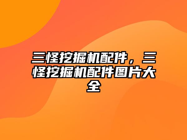 三怪挖掘機(jī)配件，三怪挖掘機(jī)配件圖片大全